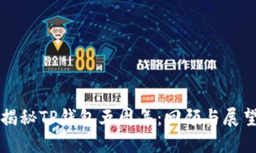 揭秘TP钱包五周年：回顾与展望