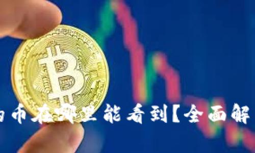 在TP钱包买的币在哪里能看到？全面解析与实用指南