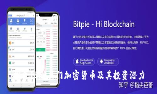 探索15种热门加密货币及其投资潜力