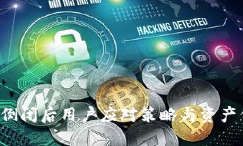  TP钱包倒闭后用户应对策略与资产保护指南