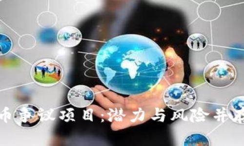 解析加密货币争议项目：潜力与风险并存的投资之路