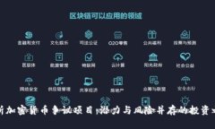 解析加密货币争议项目：潜力与风险并