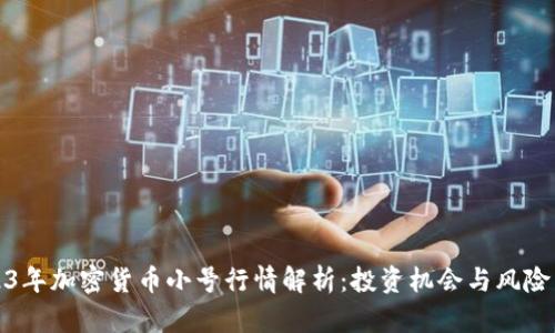 2023年加密货币小号行情解析：投资机会与风险并存