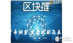 南非加密货币调查：发展现状及未来趋