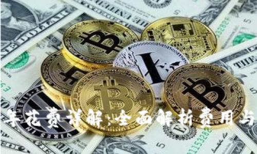 TP钱包一年花费详解：全面解析费用与使用价值