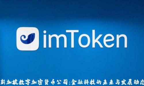 
新加坡数字加密货币公司：金融科技的未来与发展动态