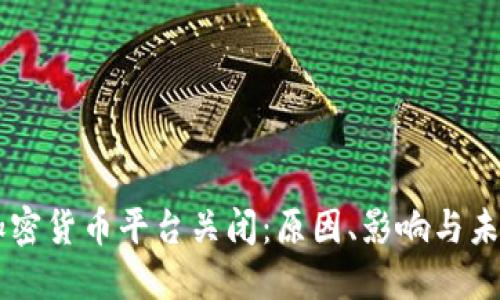 韩国加密货币平台关闭：原因、影响与未来展望
