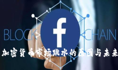 美国加密货币市场跳水的原因与未来展望