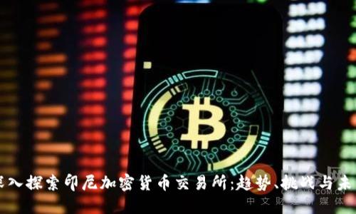 深入探索印尼加密货币交易所:趋势、挑战与未来