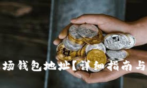 如何找到TP波场钱包地址？详细指南与常见问题解答