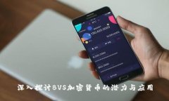 深入探讨BVS加密货币的潜力与应用