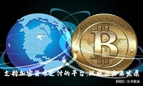 支持加密货币支付的平台：现状与未来发展