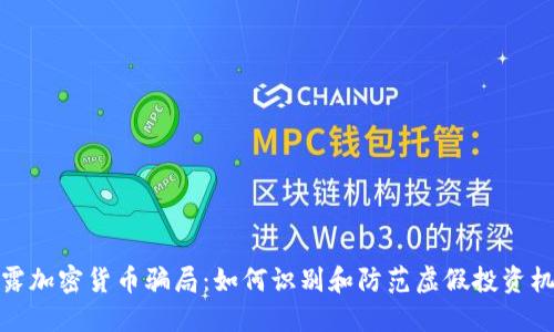 揭露加密货币骗局：如何识别和防范虚假投资机会