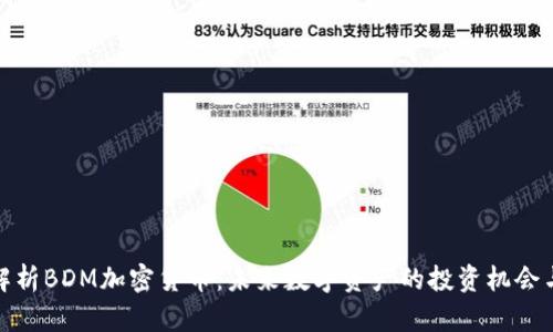 全面解析BDM加密货币：未来数字资产的投资机会与风险