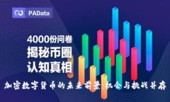 加密数字货币的未来前景：机会与挑战