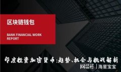 印度投资加密货币：趋势、机会与挑战