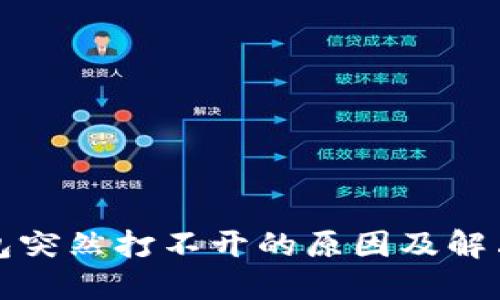 TP钱包突然打不开的原因及解决方案