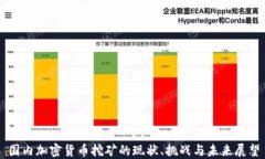 国内加密货币挖矿的现状、挑战与未来