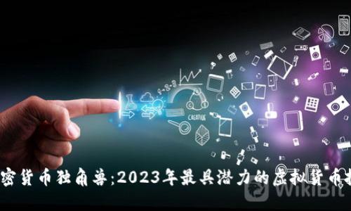  揭秘加密货币独角兽：2023年最具潜力的虚拟货币投资机会