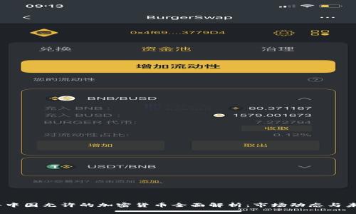 2023年中国允许的加密货币全面解析：市场动态与未来趋势