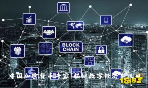 中国加密货币专家：揭秘数字经济新风口