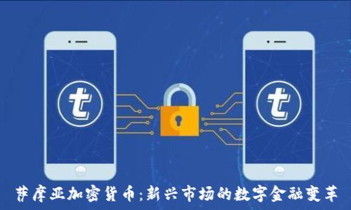   
萨摩亚加密货币：新兴市场的数字金融变革