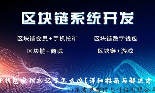 TP钱包密钥忘记了怎么办？详细指南与解决方案