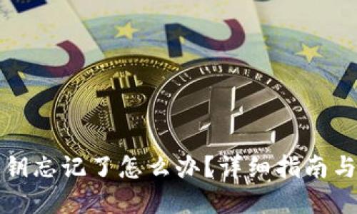 TP钱包密钥忘记了怎么办？详细指南与解决方案