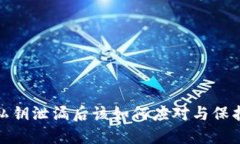 : TP钱包私钥泄漏后该如何应对与保护