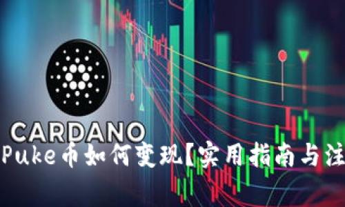 TP钱包Puke币如何变现？实用指南与注意事项