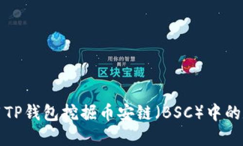 如何利用TP钱包挖掘币安链（BSC）中的数字资产