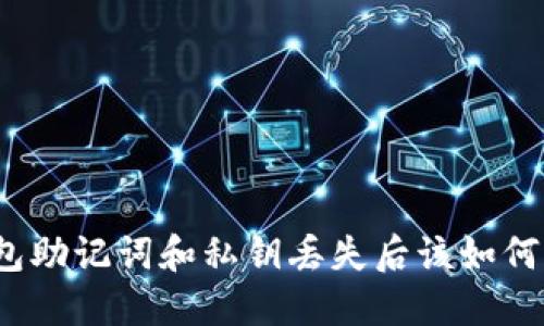 TP钱包助记词和私钥丢失后该如何应对？