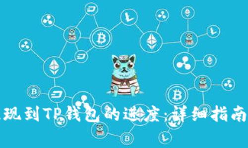 如何查看欧意提现到TP钱包的进度：详细指南与常见问题解答