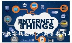 如何创建TP数字钱包账户：新手指南与