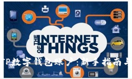 如何创建TP数字钱包账户：新手指南与详细步骤