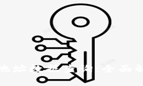 加密货币持币地址数据查询：全面解析及实用指南