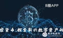 冰糖橙加密货币：探索新兴数字资产的
