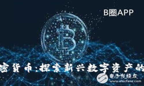 冰糖橙加密货币：探索新兴数字资产的未来价值