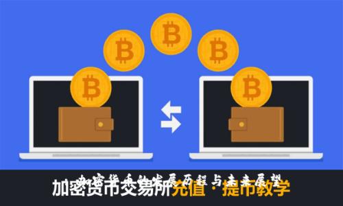 : 加密货币的发展历程与未来展望