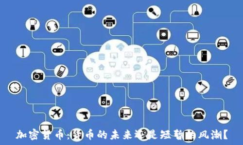  
加密货币：货币的未来还是短暂的风潮？