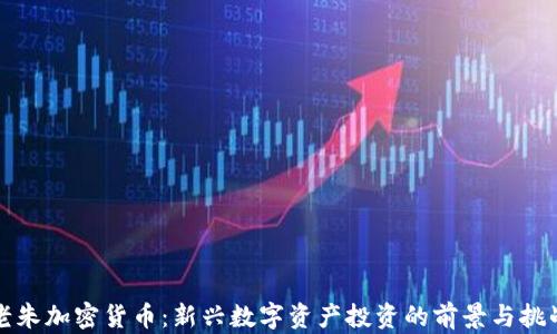 
老朱加密货币：新兴数字资产投资的前景与挑战