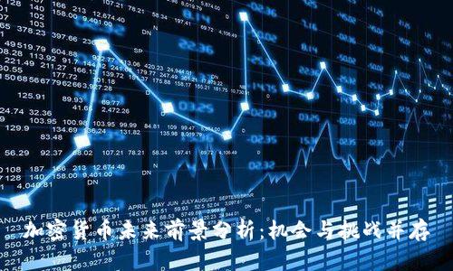 加密货币未来前景分析：机会与挑战并存