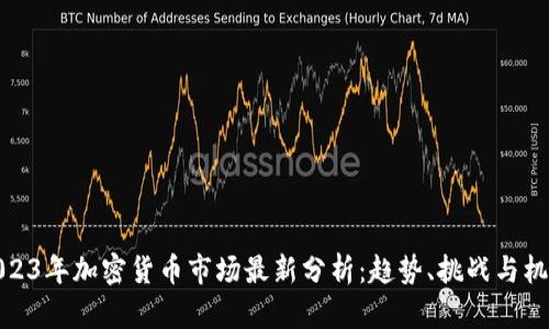 2023年加密货币市场最新分析：趋势、挑战与机遇