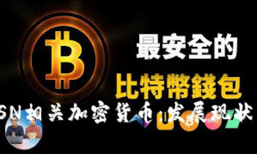 深入解析BSN相关加密货币：发展现状与潜在机遇