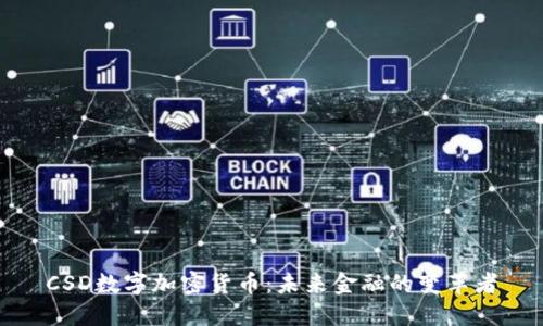 CSD数字加密货币：未来金融的变革者