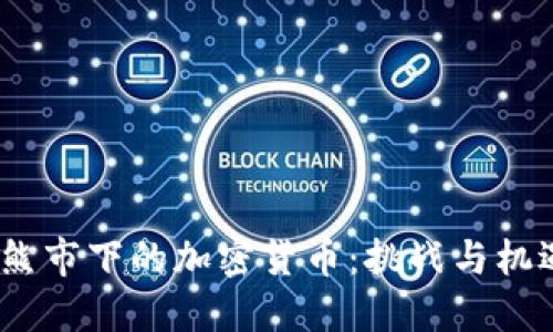  熊市下的加密货币：挑战与机遇